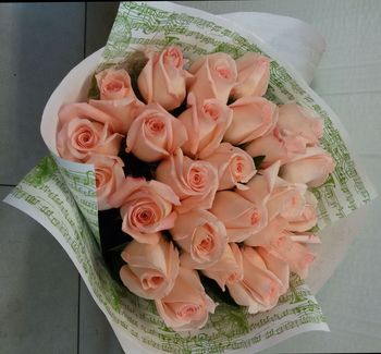 Букет 25 роз, 60см, Эквадор